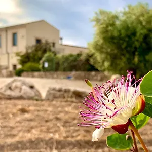 Maison d'hôtes Pantanelli Di Vendicari, Casa Maccari